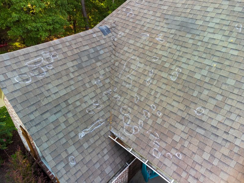 Asphalt Roof Inspection in Clarendon Hills, IL
