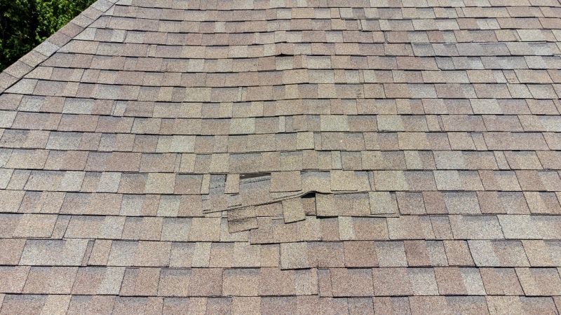 Asphalt Roof Inspection in Highland, IN