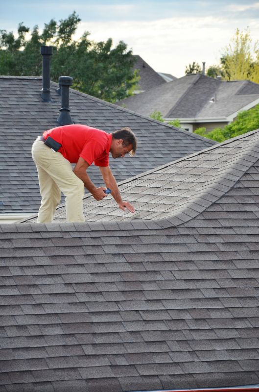 Asphalt Roof Inspection in Mokena, IL