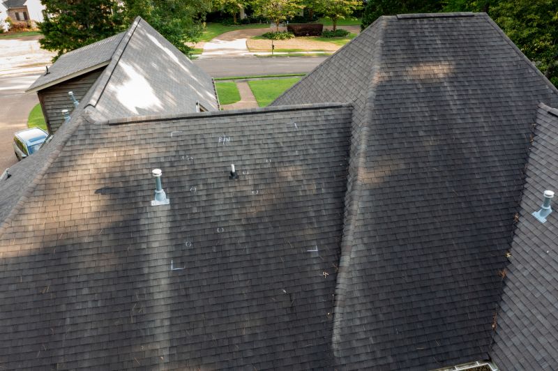 Asphalt Roof Inspection in River Forest, IL