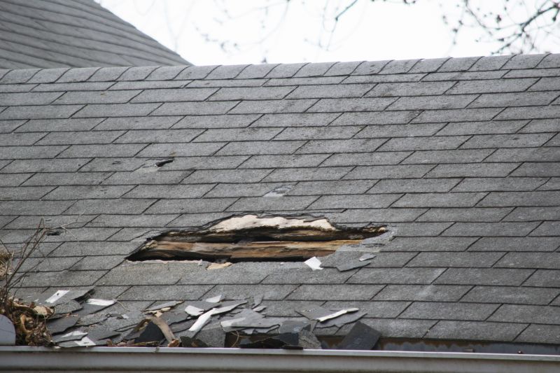 Asphalt Roof Leak Repair in Flossmoor, IL