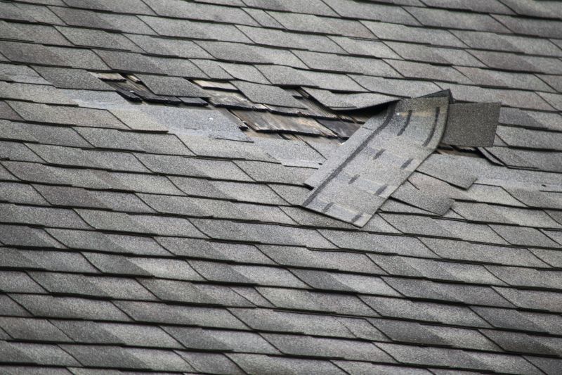 Asphalt Roof Leak Repair in Melrose Park, IL