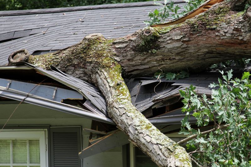Asphalt Roofing Service in Cook County, IL