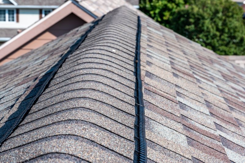 Asphalt Roofing Service in Cook County, IL