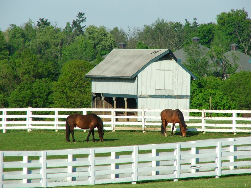Barn Roof Construction in Cook County, IL