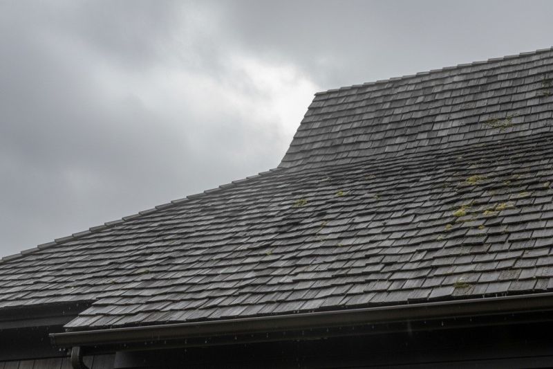 Cedar Shingles Replacement in Evergreen Park, IL