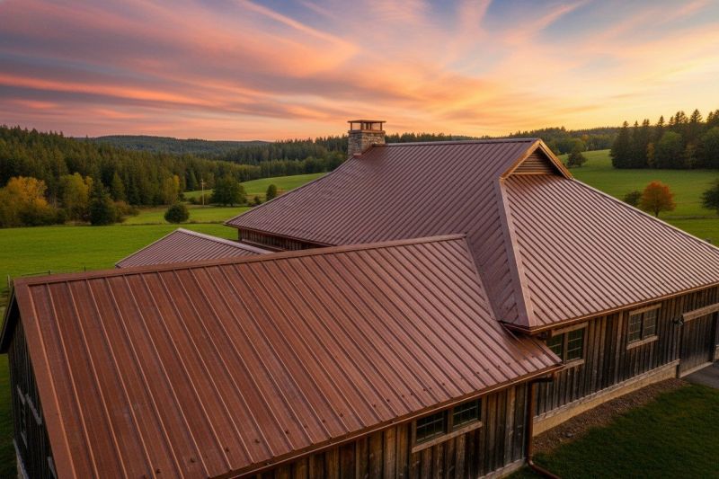 Copper Roof Replacement in Cook County, IL
