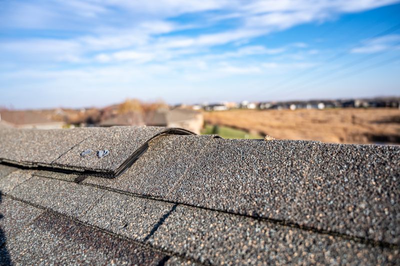 Damaged Roof Repair in Frankfort, IL