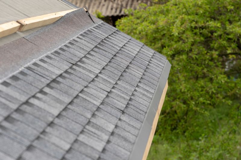 Damaged Roof Repair in Gary, IN