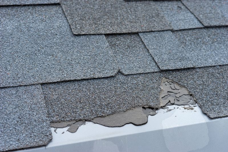 Damaged Roof Repair in Mount Prospect, IL