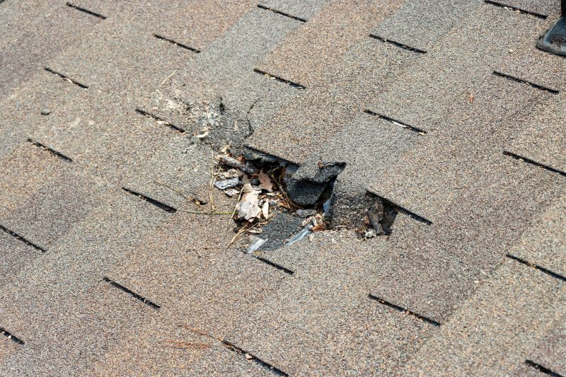Damaged Roof Replacement in Addison, IL