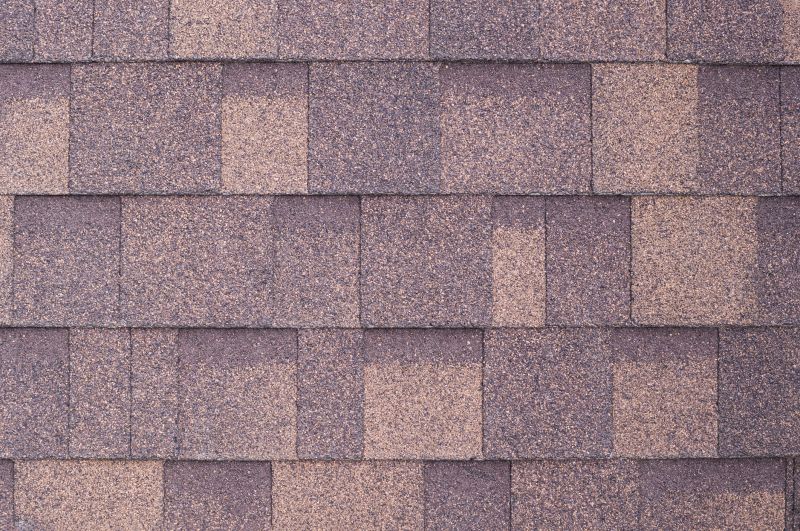 Fiberglass Shingles Repair in Cook County, IL