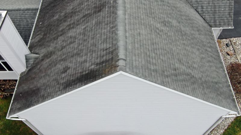 Flat Roof Inspection in Cook County, IL