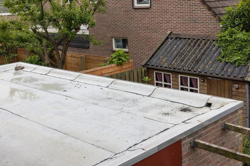 Flat Roof Leak Repair in Cook County, IL