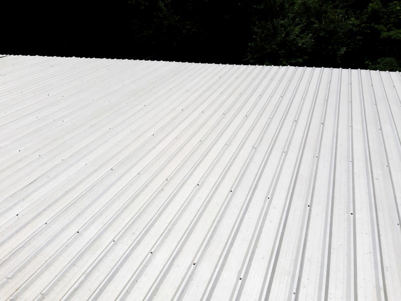 Galvanized Roof Repair in Cook County, IL