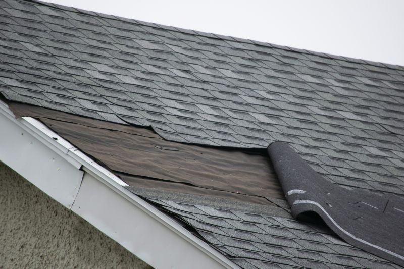 House Roof Repair in Hammond, IN