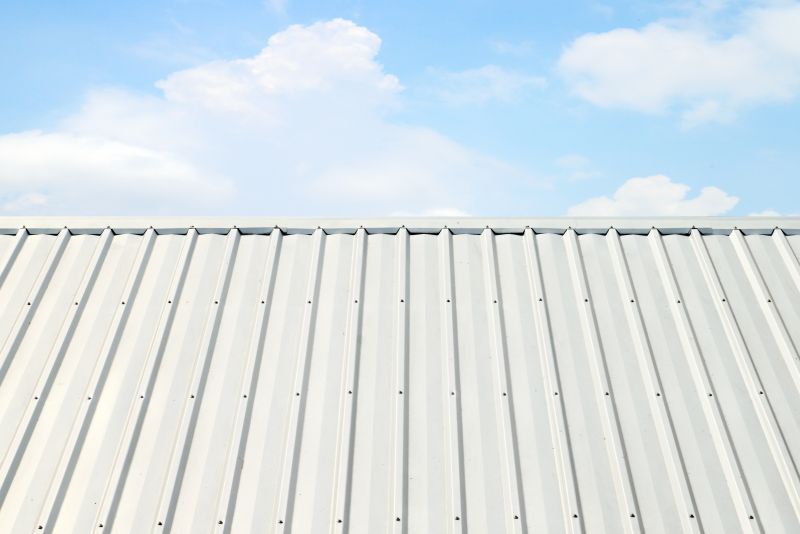 Metal Roof Coating Service in Cook County, IL