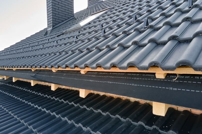 Roof Construction in Elk Grove Village, IL