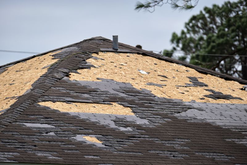 Roof Damage Inspection in Cook County, IL