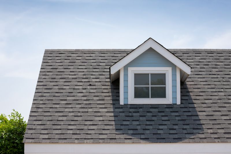 Roof Patching Service in Cook County, IL