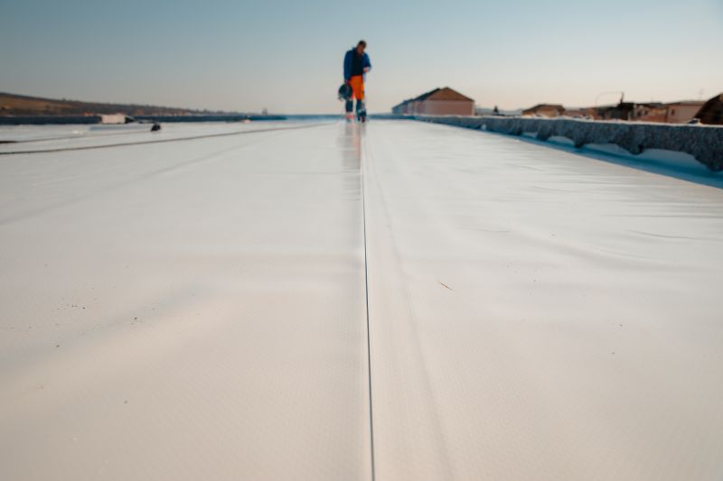 Rubber Roof Repair in Mount Prospect, IL