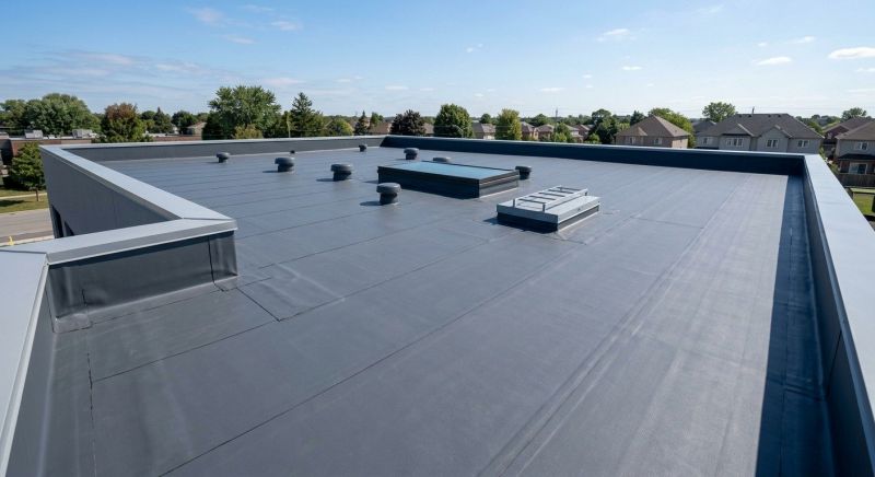 Rubber Roof Waterproofing in Cook County, IL