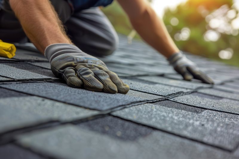 Shingles Repair in Lisle, IL