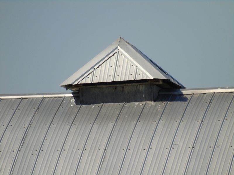 Tin Roof Installation in Chicago Heights, IL