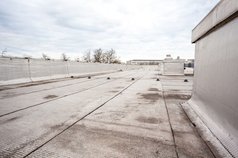 Tpo Roof Repair in Elk Grove Village, IL