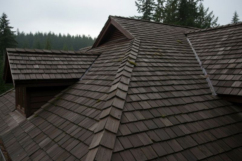 Wood Shake Roof Replacement in Alsip, IL